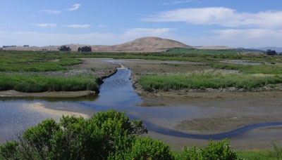 Lower Tolay/Tubbs Marsh Enhancement