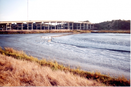 Petaluma River Marsh Restoration