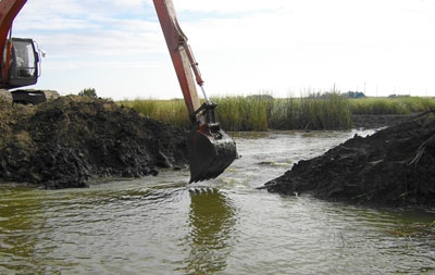 Blacklock Marsh Restoration