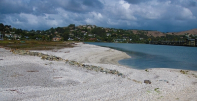 Aramburu Island Restoration