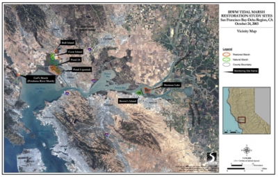 Integrated Regional Wetland Monitoring (IRWM) Pilot Project