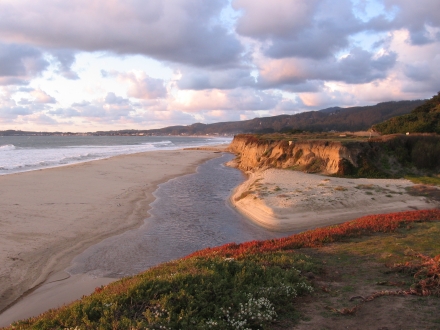 Pilarcitos Lagoon Enhancement Study